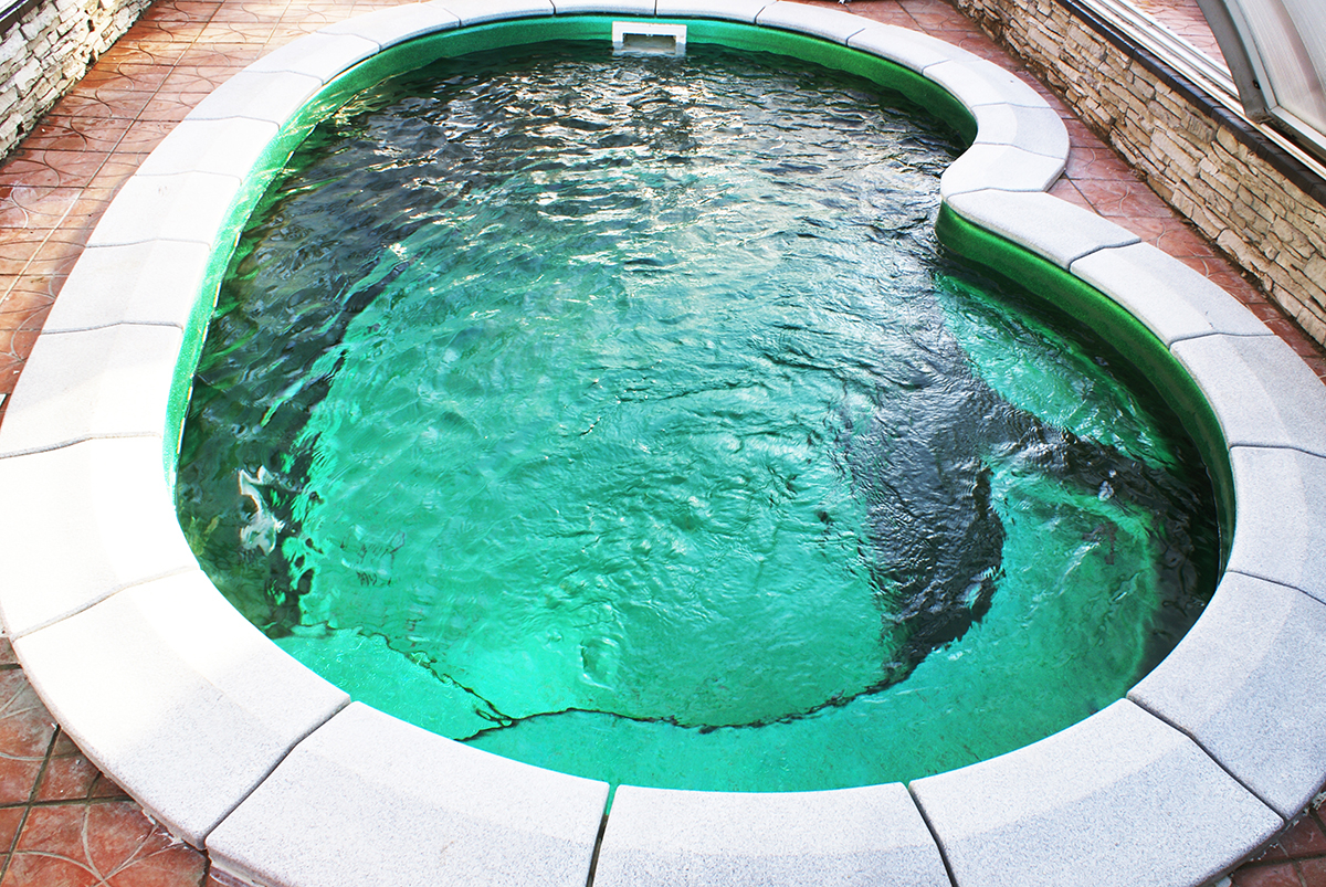 Бассейн Барселонет